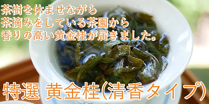  (᥿) 2025ǯ  50g