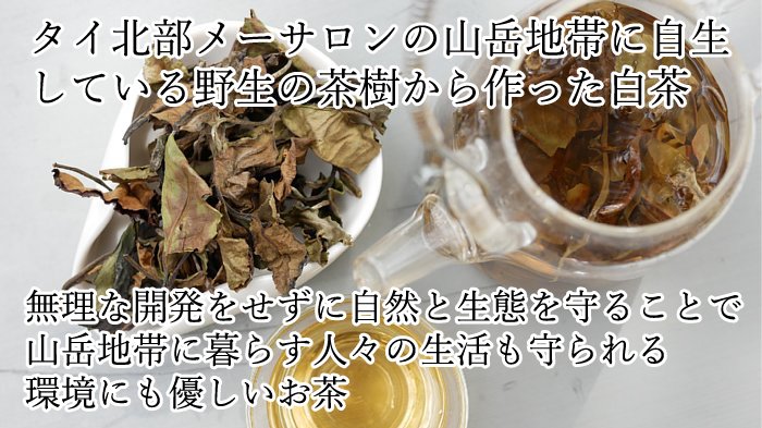 タイ美斯樂(メーサロン) 古樹大葉白茶